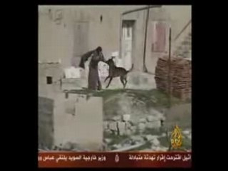 lache chien sur palestinienne