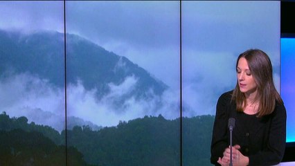 Record de CO2 et forêts tropicales à bout de souffle : la planète suffoque