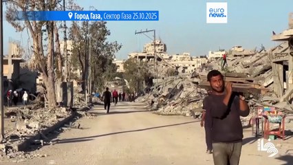 Египет и МККК присоединились к поискам тел израильских заложников в Газе