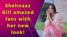Shehnaaz Gill glamorous avatar in two-tone suit, shares beautiful pictures