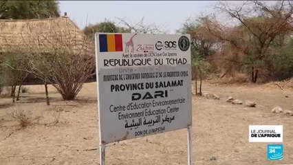 Fin des accords de partenariat entre le Tchad et l’ONG African Parks Network