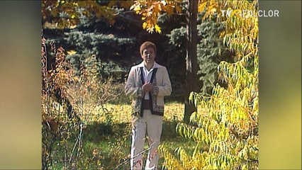 Benone Sinulescu - Colo-n vale la Buzau (Hora satului - arhiva TVR)