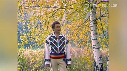 Tiberiu Ceia - Din copita murgul bate (Hora satului - arhiva TVR)