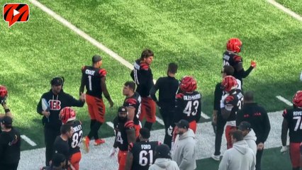 Bengals Star Trey Hendrickson Walks to Locker Room With Hip Injury