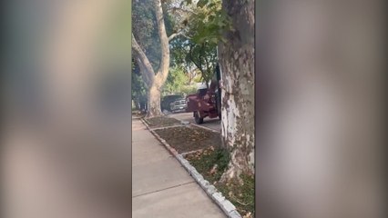 Chicago neighborhood erupts in anger amid tear gas and immigration arrests