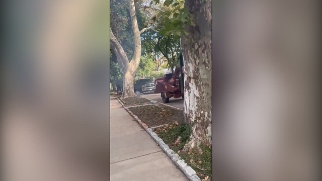 Chicago neighborhood erupts in anger amid tear gas and immigration arrests