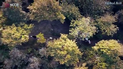 المؤسس عثمان الموسم السادس مدبلج الحلقة  2 جزء 2