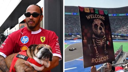 GP de México: Roscoe es el protagonista de la gran fiesta en CDMX