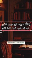 یا اللہ! میں تیرا بندہ ہوں، میری زندگی کا مقصد تیری بندگی ہے، مجھے اپنی بندگی میں ثابت قدم رکھ اور میری آخرت کو سنوار دے۔ آمین ♥️♥️♥️♥️♥️♥️♥️♥️♥️♥️♥️♥️