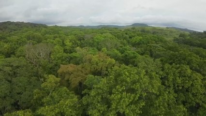 Impulsan proyectos de economía verde y canal turístico interoceánico entre Darién y provincias centrales