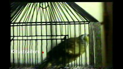 Mi Obsesión por Helena | movie | 1993 | Official Trailer