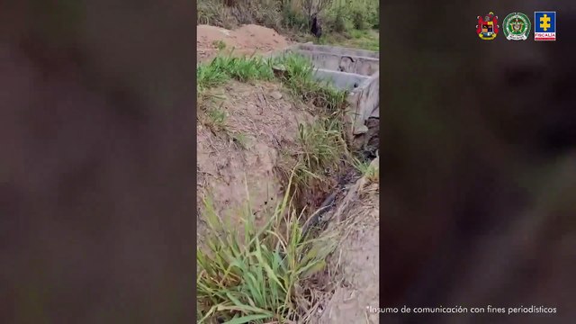 ¡Por el olor los pillaron! Planta clandestina vendía insumos para comida para mascotas