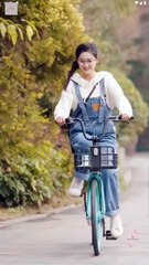 Love and Stardom Shine Again Full Movie Chinese Drama