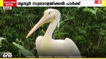 'ആഹാ...കാണാൻ‌ എന്താ ചന്തം...'; ഏഷ്യയിലെ രണ്ടാമത്തെ വലിയ സുവോളജിക്കൽ പാർക്ക് തൃശൂരിൽ