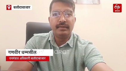 बलौदाबाजार के जंगल में बायसन का शिकार, करंट से मारा, पैर और सिर काटे, वनरक्षक निलंबित