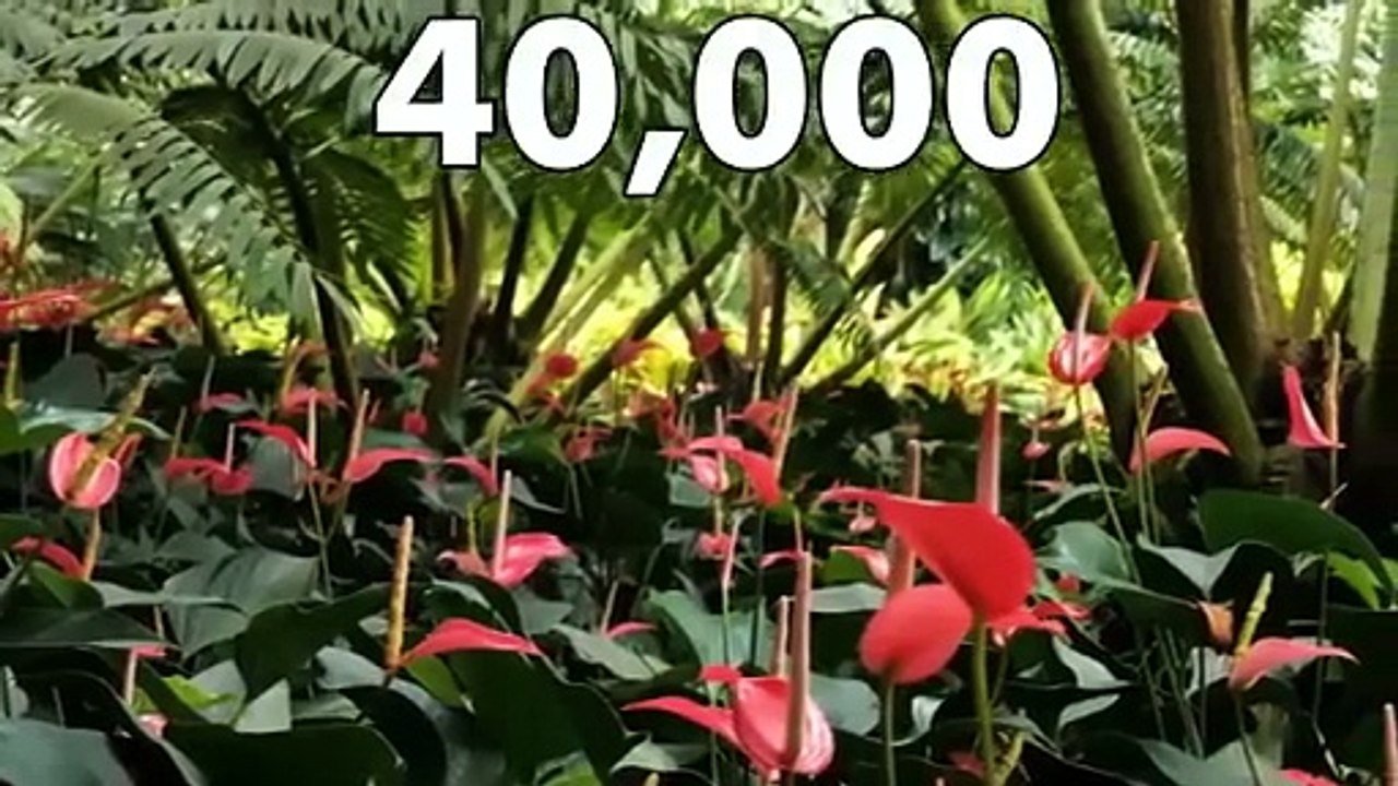2.4M views · 86K reactions Strange Facts About Amazon Rainforest 🤯😱😵 #knowledge #viralvideo #1m #trending #zemtv Zem tv
