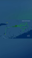 Blue Jays Fan Spirit Soars Sky High