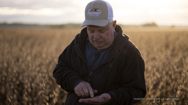 Trump’s tariffs are hurting farmers as Chinese soybean imports drop to zero