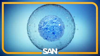 Congress working to reauthorize federal stem cell and bone marrow programs