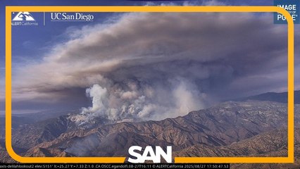 Firefighters race to protect 2,000-year-old sequoia grove from burning