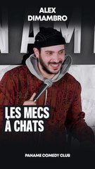 Alex Di Mambro - Les mecs à chats