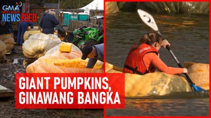 Giant pumpkins, ginawang bangka | GMA Integrated Newsfeed