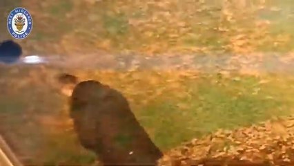 Rape of woman in Walsall being treated as racially aggravated, police say