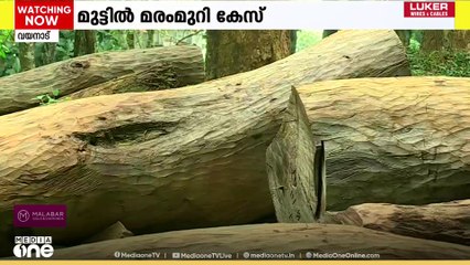 മുട്ടിൽ മരം മുറി കേസിൽ കർഷകരെ ബലിയാടാക്കി പ്രതികൾക്ക് രക്ഷപ്പെടാനുള്ള സാഹചര്യം ഒരുക്കുന്നു