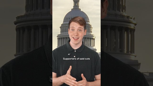 Bob Ross paintings to be auctioned to help fund public broadcasters