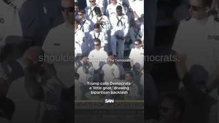 Trump calls Democrats a ‘little gnat,’ drawing bipartisan backlash