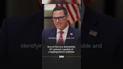 Secret Service dismantles NY network capable of crippling phone systems