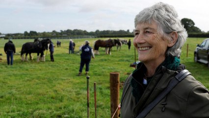 L'Irlande vote pour élire sa présidente, la question palestinienne au centre des débats