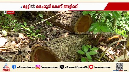 മുട്ടിൽ മരംമുറി കേസ് അട്ടിമറിക്കാൻ ഉന്നത ഇടപെടൽ, ആരോപണവുമായി മുൻ സ്‌പെഷ്യൽ പബ്ലിക് പ്രോസിക്യൂട്ടർ