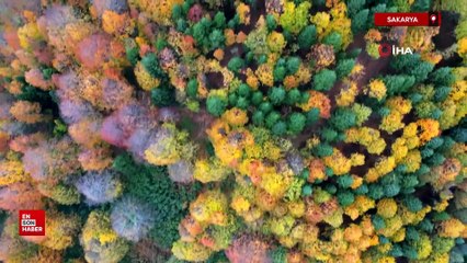 Sakarya’da sonbahar güzelliği göz kamaştırıyor