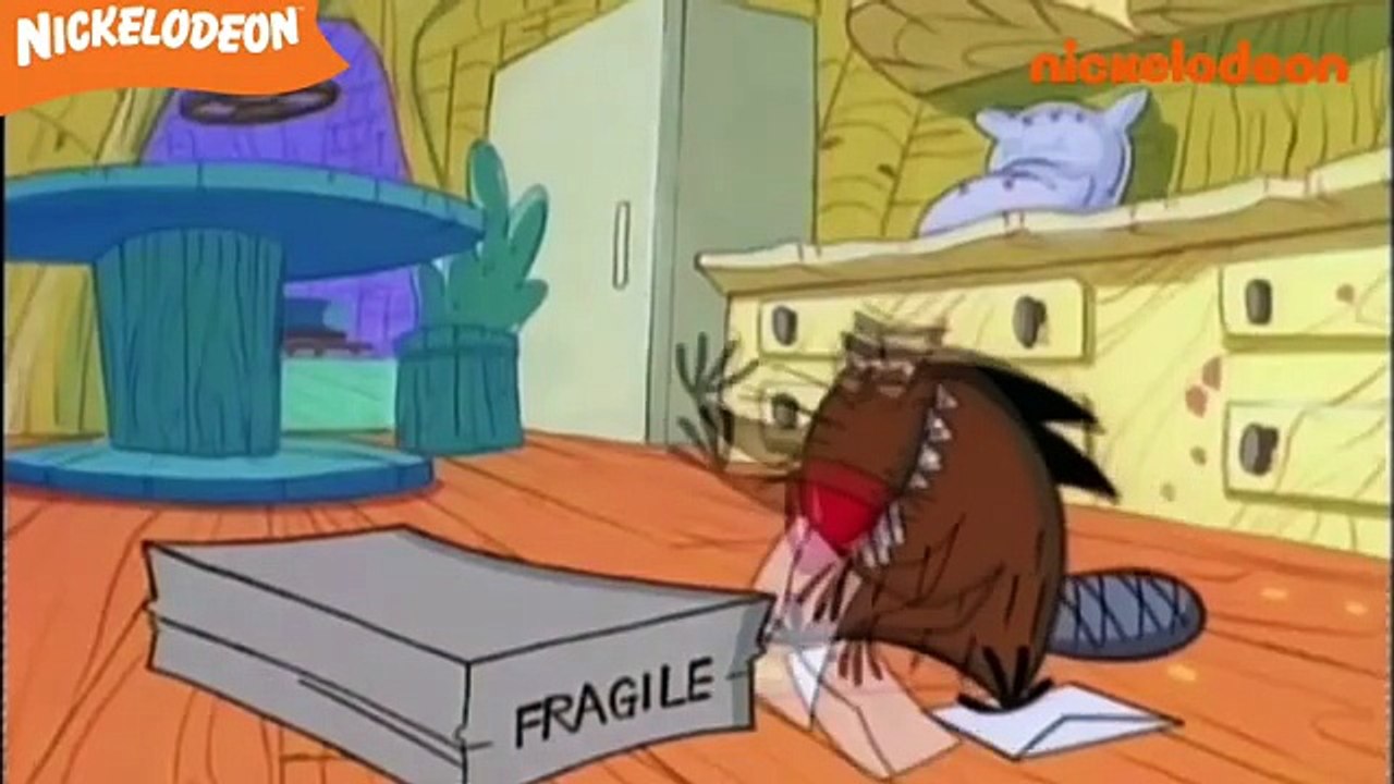 Les Castors Allumés - Le modèle de l'an dernier