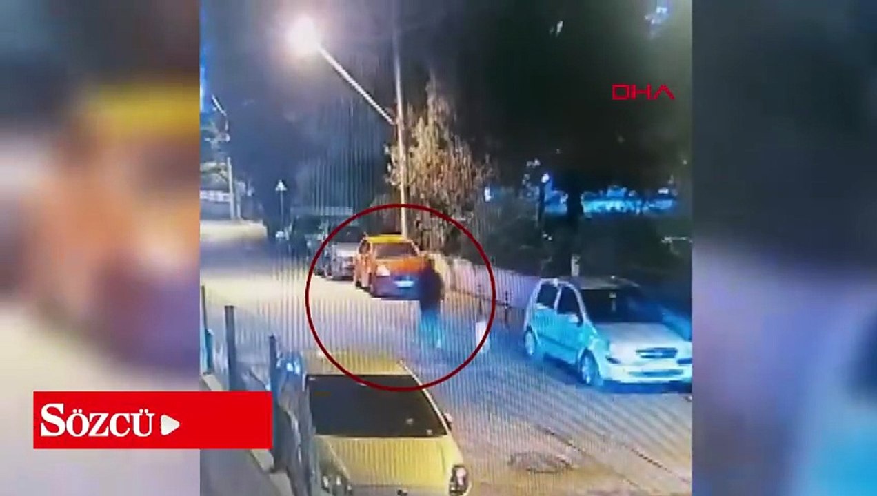 Cipiyle, sahibinin gezdirmeye çıkardığı köpeğe çarpıp kaçtı; o anlar kamerada