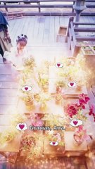 ¡Asesinada por su maestro, renació decidida a romper todo lazo... pero ahora todos se arrepienten!