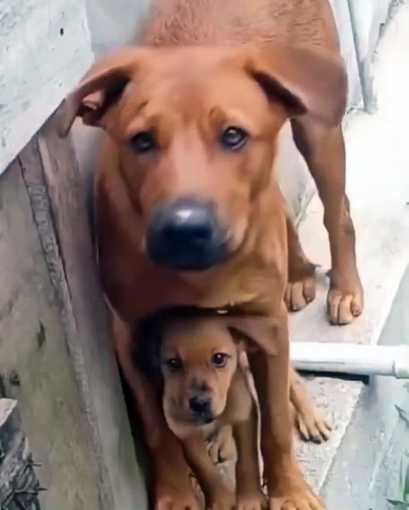 'I'll protect you'…😊