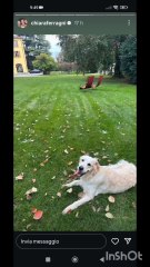 chiaraferragni story