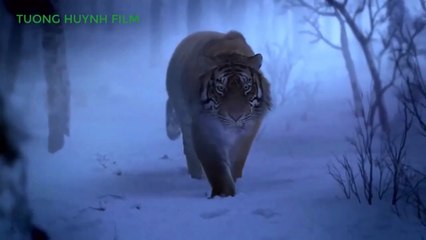 Trí Thủ Uy Hổ Sơn - Lương Gia Huy (Lồng tiếng)