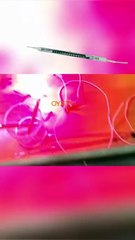 1000w  halogen heat lamp ir curing lamp 1000w  halogen lamp 1000w  heat lamp dry ink