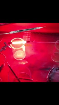 1000W 230v infrared heating lamp 1000w 230v Infrared Lamp