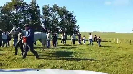 24° edición del raid federado "Asociación Tupambaé" - Parte 2 de 2 - Cerro Largo 26/10/2025