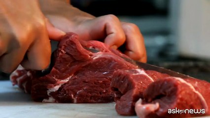 Benessere animale, finalmente un riferimento unico nazionale