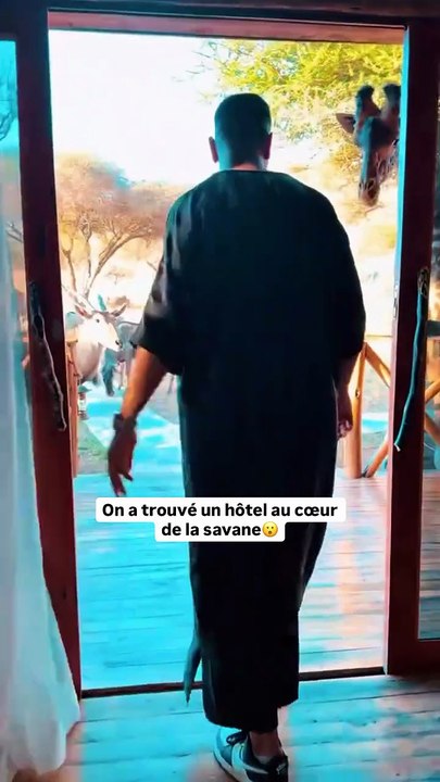 Au cœur de l’Afrique du Sud, le Serval Wildlife offre une rencontre inoubliable avec la faune sauvage🐾.