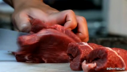 Benessere animale, finalmente un riferimento unico nazionale