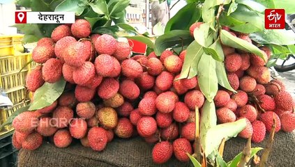 छोटे शहर से लेकर महानगर तक का सफर, इन 25 सालों में 'रिटायरमेंट' सिटी देहरादून कितना बदला?