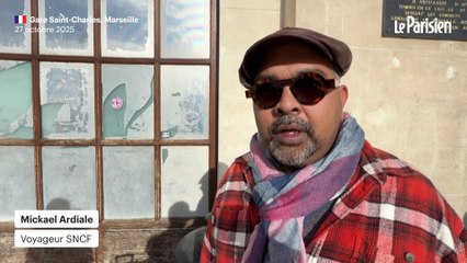 Le trafic des TGV est paralysé en Gare de Lyon à Paris à cause d’un “acte de vandalisme”.