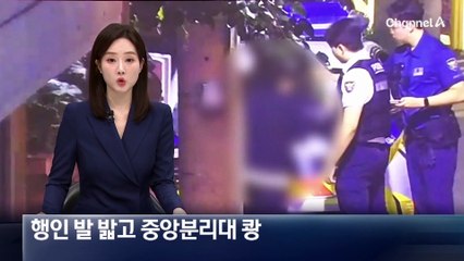 행인 발 밟고 중앙분리대 ‘쾅’…만취 운전자 검거