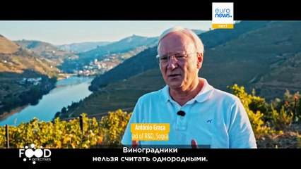 Какой виноград в какой бутылке? The Food Detectives привносят идеальную прозрачность в вино Дору